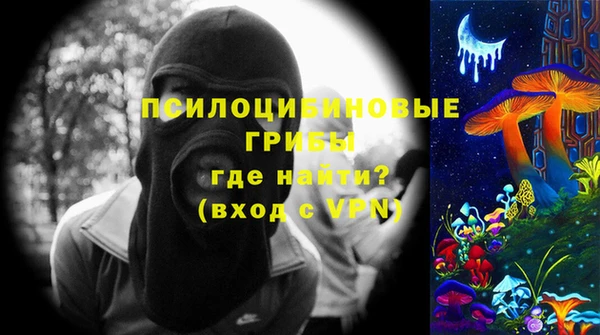 a pvp Богородицк